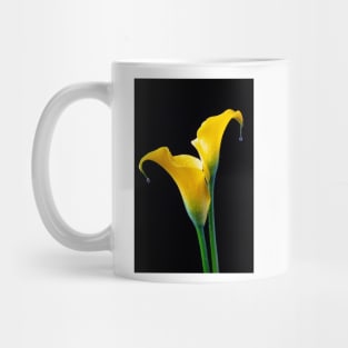Two Wet Calla lilies Mug